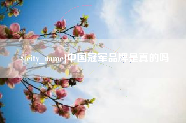 南漳中国冠军品牌是真的吗