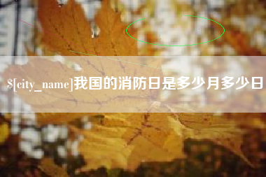 南漳我国的消防日是多少月多少日