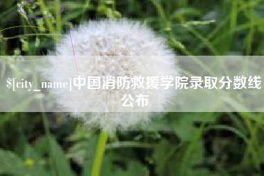 南漳中国消防救援学院录取分数线公布