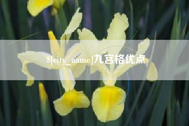 南漳九宫格优点