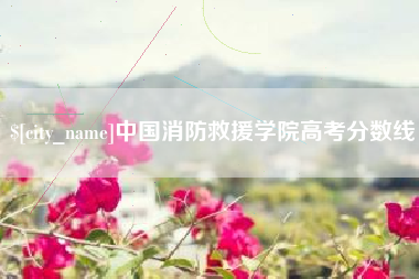 南漳中国消防救援学院高考分数线