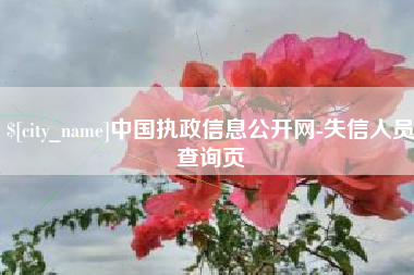 南漳中国执政信息公开网-失信人员查询页
