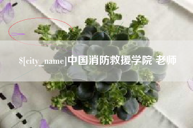 南漳中国消防救援学院 老师