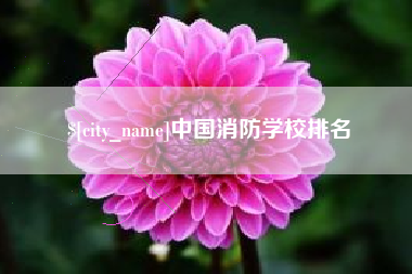 南漳中国消防学校排名