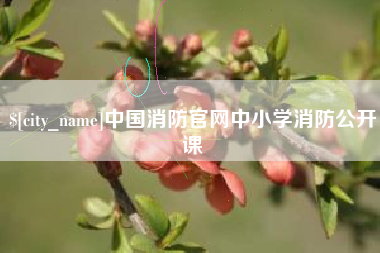 南漳中国消防官网中小学消防公开课