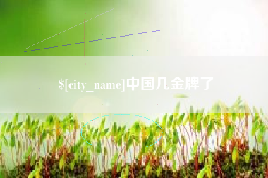 南漳中国几金牌了