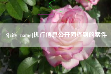 南漳执行信息公开网查到的案件