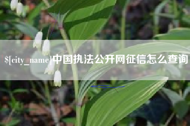 南漳中国执法公开网征信怎么查询