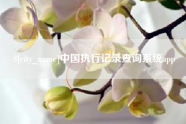 南漳中国执行记录查询系统app