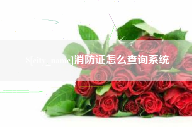 南漳消防证怎么查询系统