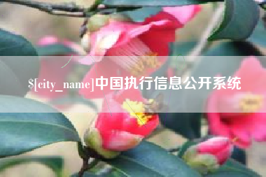 南漳中国执行信息公开系统