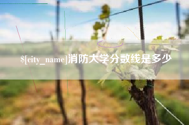 南漳消防大学分数线是多少