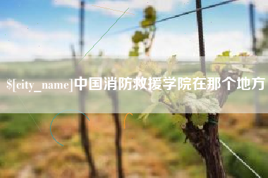 南漳中国消防救援学院在那个地方