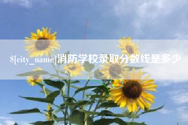 南漳消防学校录取分数线是多少