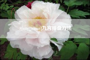 南漳九宫排盘方法
