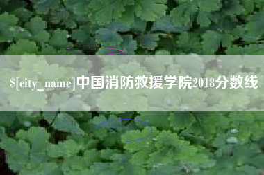 南漳中国消防救援学院2018分数线