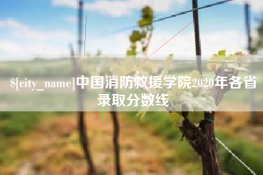 南漳中国消防救援学院2020年各省录取分数线