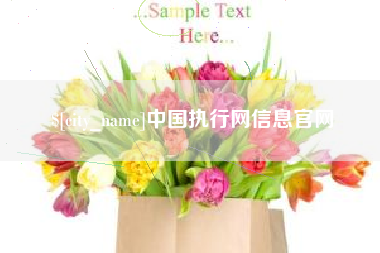 南漳中国执行网信息官网