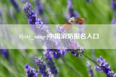 南漳中国消防报名入口