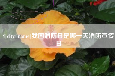 南漳我国消防日是哪一天消防宣传日