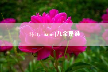 南漳九金是谁