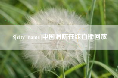 南漳中国消防在线直播回放