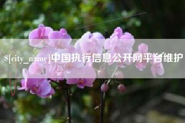 南漳中国执行信息公开网平台维护