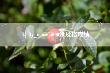 南漳5000米及格成绩