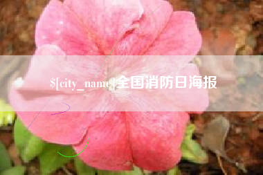 南漳全国消防日海报