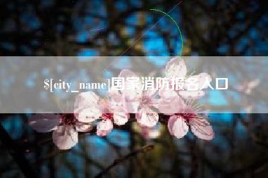 南漳国家消防报名入口