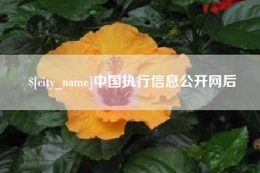 南漳中国执行信息公开网后