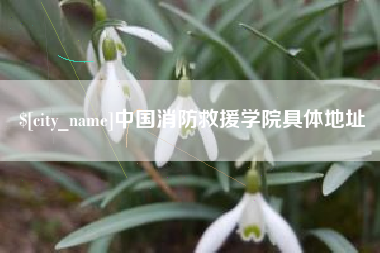 南漳中国消防救援学院具体地址