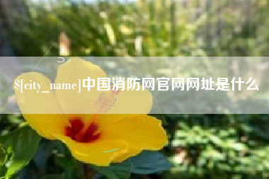 南漳中国消防网官网网址是什么