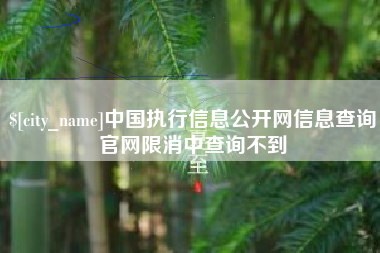 南漳中国执行信息公开网信息查询官网限消中查询不到