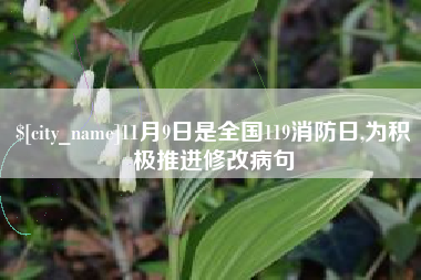 南漳11月9日是全国119消防日,为积极推进修改病句