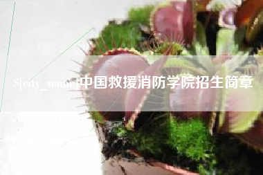 南漳中国救援消防学院招生简章