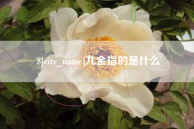 南漳九金指的是什么