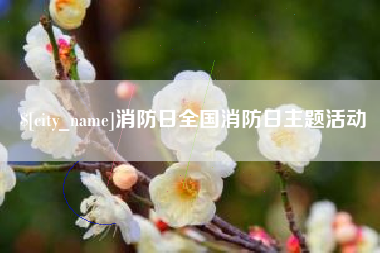 南漳消防日全国消防日主题活动