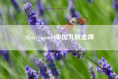 南漳中国九枚金牌
