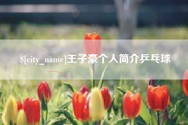 南漳王子豪个人简介乒乓球