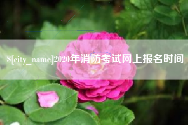 南漳2020年消防考试网上报名时间