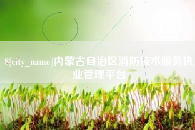 南漳内蒙古自治区消防技术服务执业管理平台