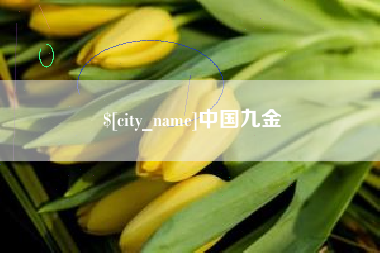 南漳中国九金