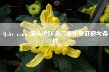 南漳重庆消防设施操作员证报考条件