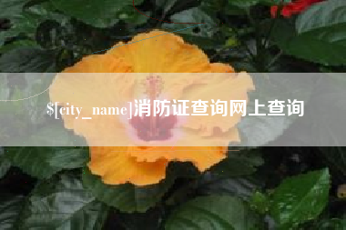 南漳消防证查询网上查询