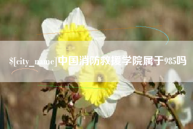 南漳中国消防救援学院属于985吗