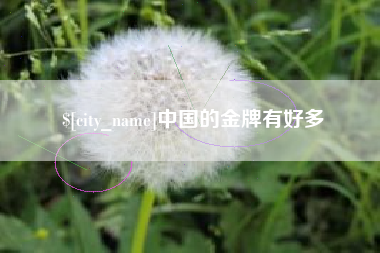 南漳中国的金牌有好多