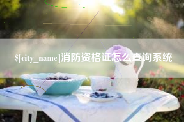 南漳消防资格证怎么查询系统
