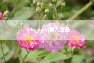 南漳第九金是