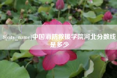 南漳中国消防救援学院河北分数线是多少